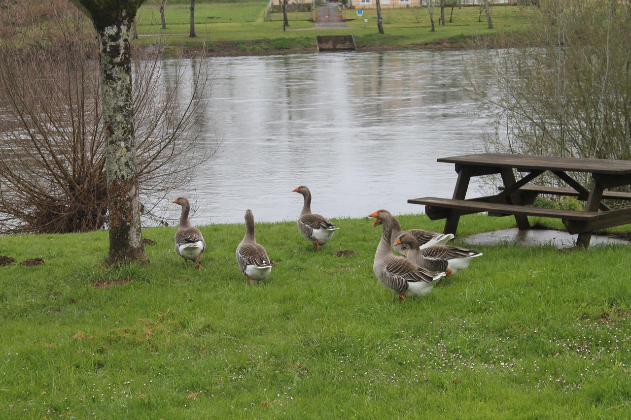 Hotel-Restaurant Cote Rivage Badefols-sur-Dordogne Bagian luar foto